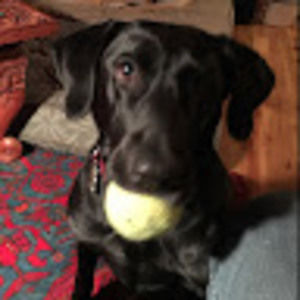 Meet your Posher, Timothy